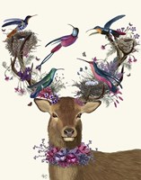 Deer Birdkeeper, Tropical Bird Nests Fine Art Print