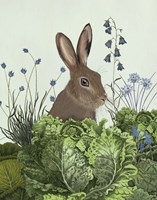 Cabbage Patch Rabbit 2 Fine Art Print