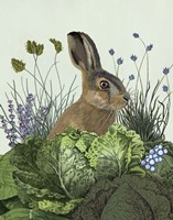 Cabbage Patch Rabbit 3 Fine Art Print