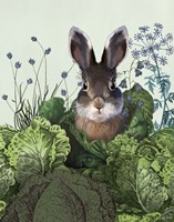 Cabbage Patch Rabbit 4 Fine Art Print