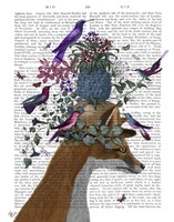 Fox Birdkeeper with Pineapple Fine Art Print