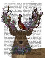 Deer Birdkeeper, Scottish Fine Art Print