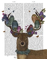 Deer Birdkeeper, Owls Fine Art Print