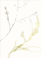 Under Sea Forest IX Framed Print