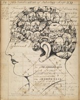 Phrenology Bookpage Fine Art Print