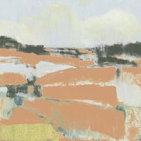 Coral Fields II Framed Print