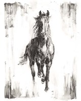 Rustic Black Stallion I Fine Art Print
