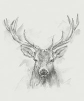Contemporary Elk Sketch I Fine Art Print