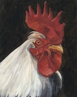 Rooster Portrait I Fine Art Print