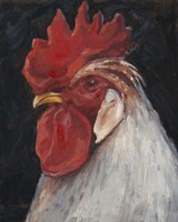 Rooster Portrait II Fine Art Print