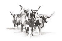Contemporary Cattle I Fine Art Print