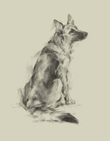 Puppy Dog Eyes V Fine Art Print