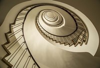 Parrot Staircase Fine Art Print