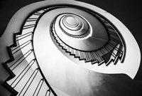 Parrot Staircase  Black/White Fine Art Print