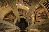 Royal Staircase Fine Art Print