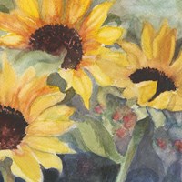 Sunflowers in Watercolor II Fine Art Print
