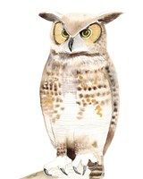 Hoo Dis I Fine Art Print