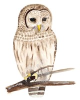 Hoo Dis III Fine Art Print