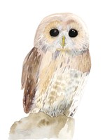 Hoo Dis IV Fine Art Print