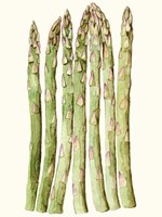 Early Harvest III Framed Print