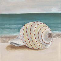 She Sells Seashells II Fine Art Print