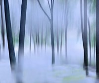 Misty Mountains XVI Fine Art Print