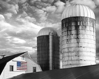 Flags of Our Farmers II Fine Art Print