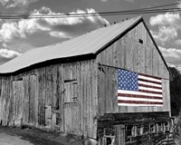 Flags of Our Farmers IV Fine Art Print