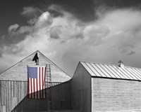 Flags of Our Farmers V Fine Art Print