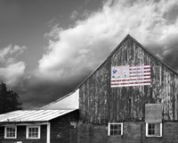 Flags of Our Farmers VII Fine Art Print