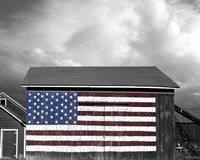 Flags of Our Farmers IX Fine Art Print