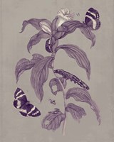 Nature Study in Plum & Taupe I Fine Art Print