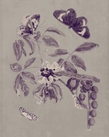 Nature Study in Plum & Taupe II Fine Art Print