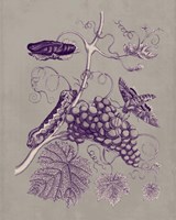 Nature Study in Plum & Taupe III Fine Art Print