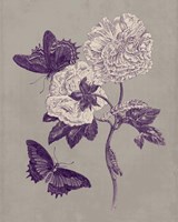 Nature Study in Plum & Taupe IV Fine Art Print