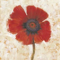 Red Poppy Portrait I Framed Print