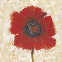 Red Poppy Portrait II Framed Print