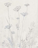 Neutral Queen Anne's Lace II Framed Print