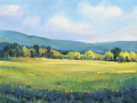 Partly Cloudy II Framed Print