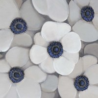 White Anemone I Fine Art Print
