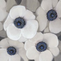 White Anemone II Fine Art Print