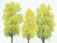 Spring Eternal II Framed Print