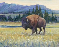 Animals of the West II Fine Art Print