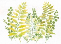 Mixed Greenery I Framed Print