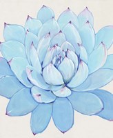 Pastel Succulent II Fine Art Print