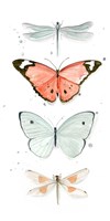 Summer Butterflies I Fine Art Print