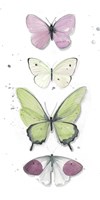 Summer Butterflies II Framed Print
