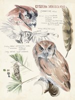 Wildlife Journals I Fine Art Print