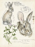 Wildlife Journals II Fine Art Print