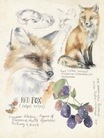 Wildlife Journals III Fine Art Print